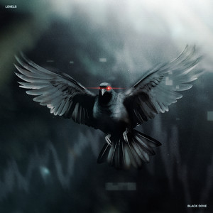 Black Dove (Explicit)