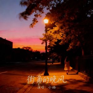 街角的晚风-小璐