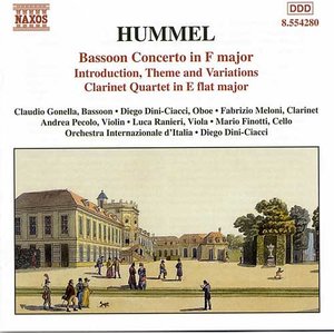 Concerto In F Major For Bassoon And Orchestra: Allegro moderato