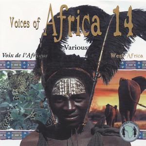 Voices of Africa - Volume 14