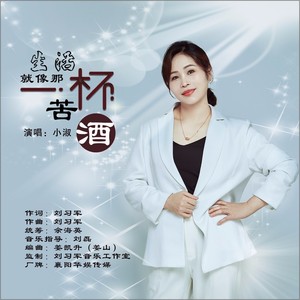 生活就像那一杯苦酒 (DJ默涵版)