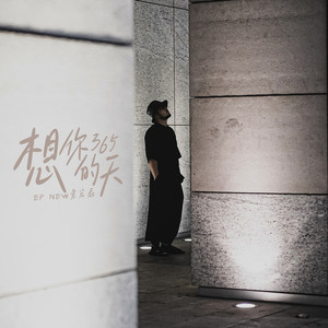 想你的365天-索宏磊