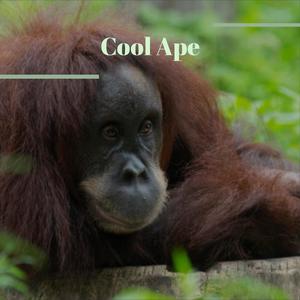 Cool Ape