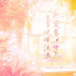 把爱装进晚晖流浪