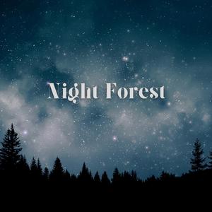 Night Forest