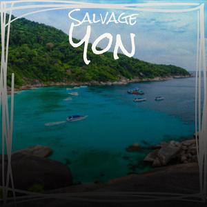 Salvage Yon