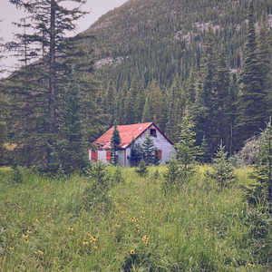 movements of the sea