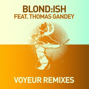 Voyeur (Alex Niggemann Remix)
