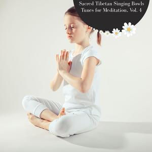 Anamika Khanna Medi Studio - Attachment Of Soul (Original Mix)