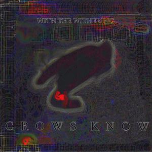 Crows Know