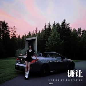 谦让 (DJ你总说流星划过天空时很亮)封面