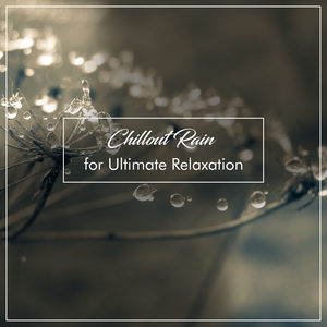 5 Minute Thunderstorm