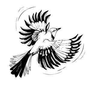 **** and Wine (Explicit)