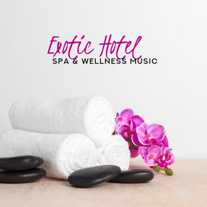 Exotic Hotel Spa & Wellness Music: Compilation of 2019 New Age Music for Tropical Spa, Wellness Treatments, Massage Therapy, Sauna, Body Relaxation & Healing, Mind Regeneration