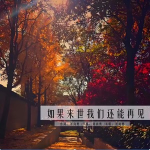 如果来世我们还能相见 (伴奏)