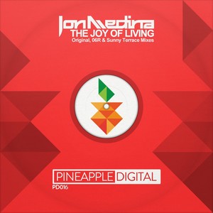 The Joy of Living (Sunny Terrace Remix)