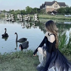 兰因絮果终究是意难平