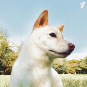 Sweet Nothings (feat. Melissa Lamm)