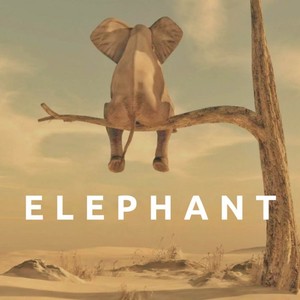 Elephant (Extended Mix)