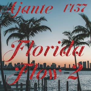 Florida flow 2 (Explicit)