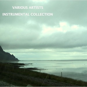 Instrumental Collection