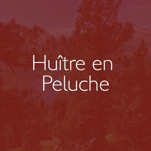 Huître en peluche