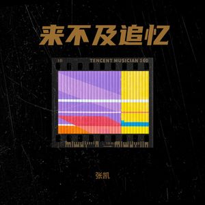 来不及追忆 (纯音乐)