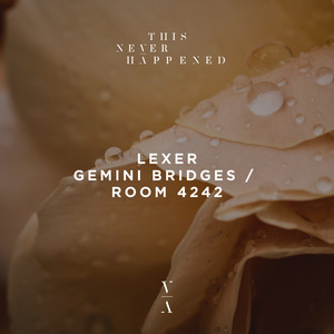 Gemini Bridges / Room 4242