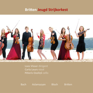 Nigun for Violin and String Orchestra