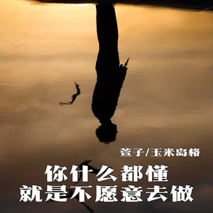 你什么都懂 就是不愿意去做