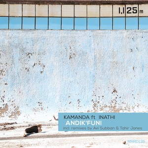 Andik'funi (Tahir Jones Remix)