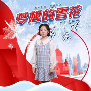 梦想的雪花