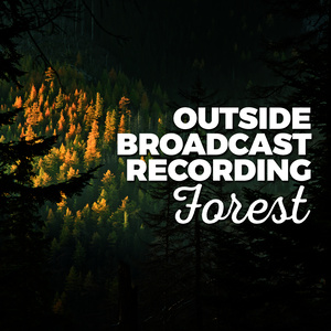 Outside Broadcast Recording: Forest