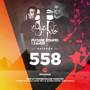 Last Chance To Breathe(FSOE 558) (Original Mix)