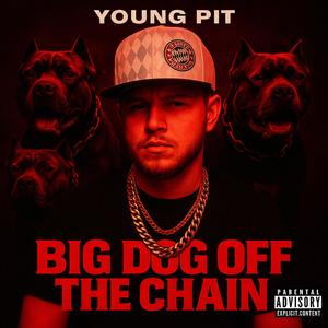 big dog off the chain (Radio Edit|Explicit)