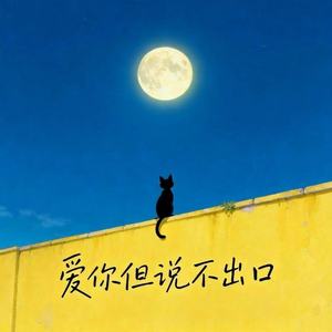 爱你但说不出口 (R&B版)