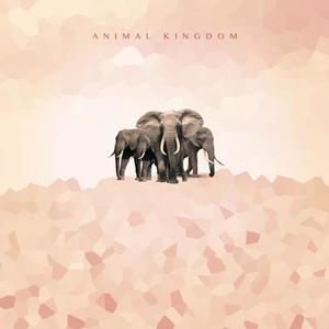 Animal Kingdom