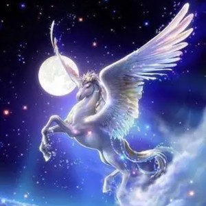 璀璨冒险人-小马哥