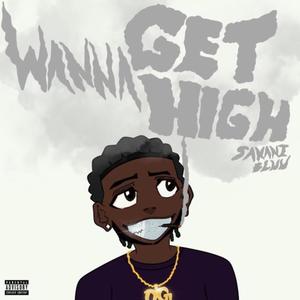 Wanna Get High (feat. Void) (Explicit)