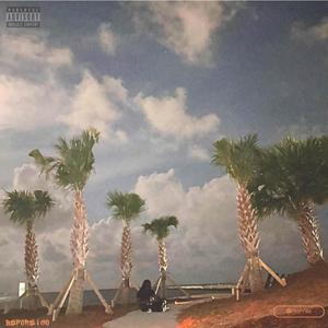 Rock$tar (feat. Lil Xanny Boy) (Explicit)