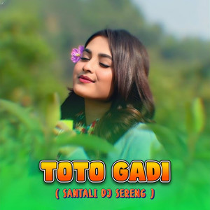 TOTO GADI