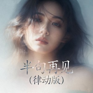 半句再见 (律动版)