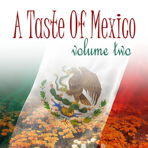 A Taste Of Mexico Vol 2