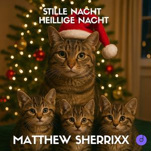 Stille Nacht Heillige Nacht