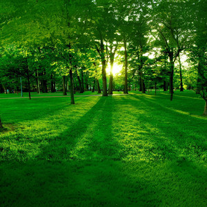 异乡客 (prod by Aichen)