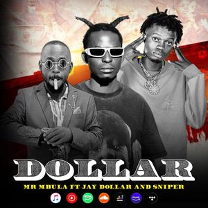 Mr Mbula (DOLLAR) (feat. Jay Dollar & Sniper) [Explicit]