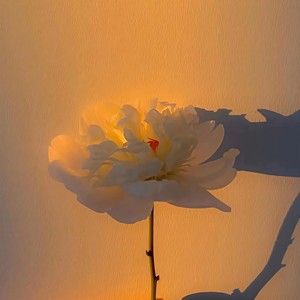 起风了 (小提琴&钢琴)