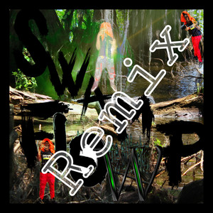 Swamp Flow (Remix|Explicit)