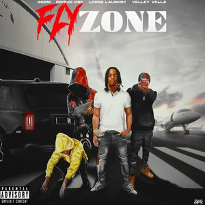 Flyzone (Explicit)