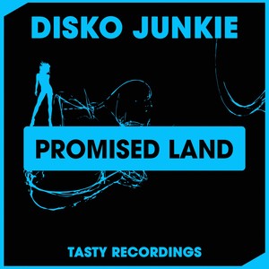 Promised Land (Discotron 'Funk Flex' Remix)